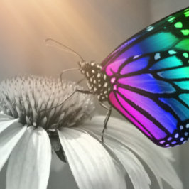 Butterfly, Butterfly och Flower, Färg Butterfly Kudde