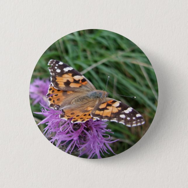 Butterfly Button Knapp (Framsida)