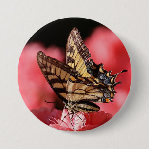 Butterfly Button Pin Knapp