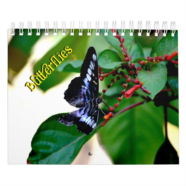 Butterfly Calendar Kalender (Omslag)