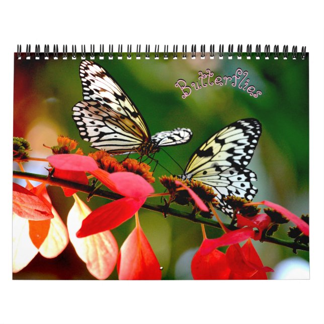 Butterfly Calendar Kalender (Omslag)