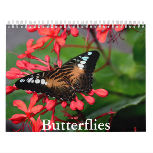 Butterfly Calendar Kalender