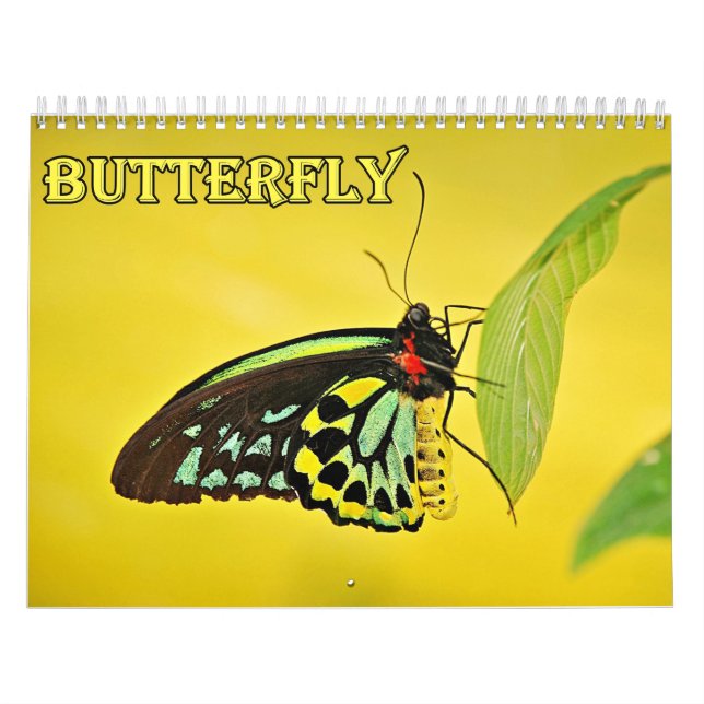 Butterfly Calendar Kalender (Omslag)