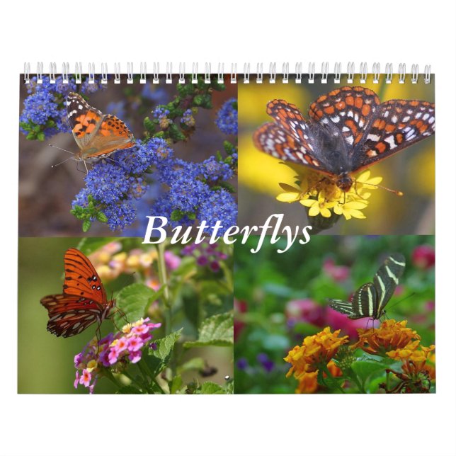 Butterfly Calendar Kalender (Omslag)