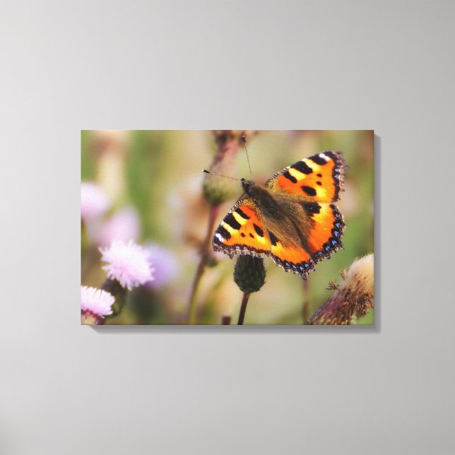 Butterfly Canvastryck (Framsida)