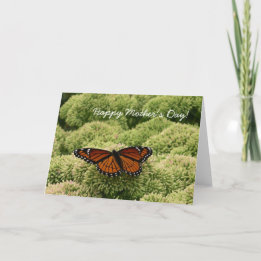 Butterfly Card Lycklig Mors dag Kort
