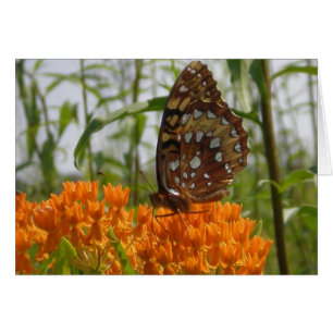 Butterfly Card (tomt på insidan) Hälsningskort