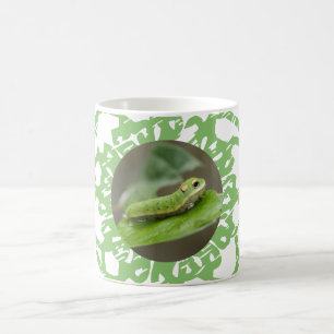Butterfly Caterpelare Larva Kaffemugg
