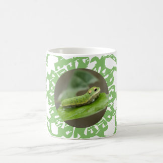 Butterfly Caterpelare Larva Kaffemugg