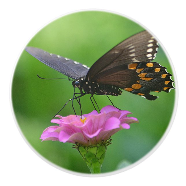 Butterfly Ceramic Knob Knopp (Framsidan)