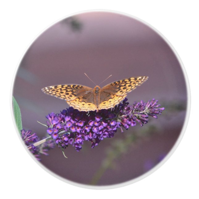 Butterfly Ceramic Knob Knopp (Framsidan)