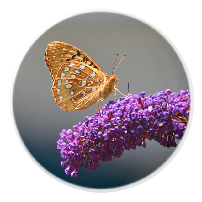 Butterfly Ceramic Knob Knopp (Framsidan)