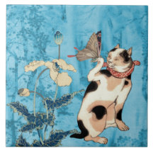 Butterfly Charmer