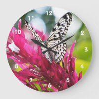 Butterfly Clocks