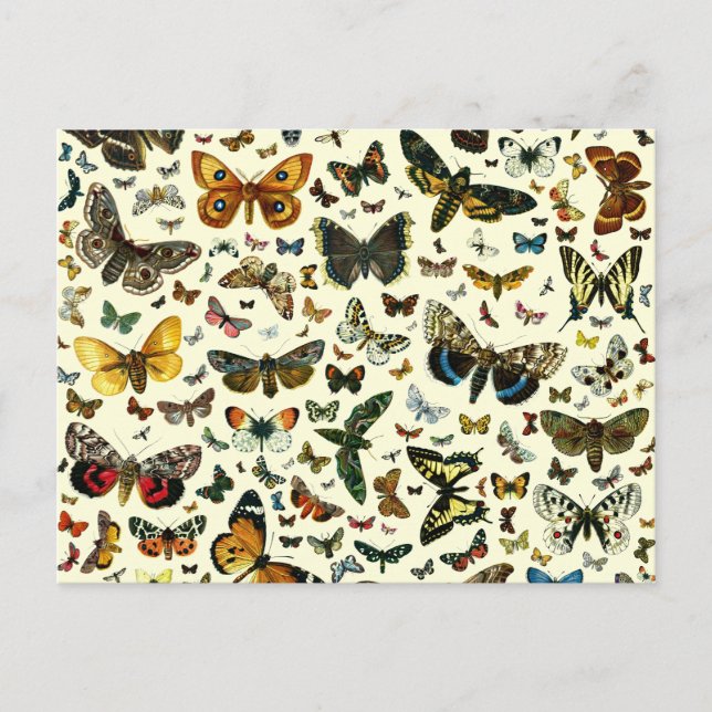 Butterfly Collage Vykort (Framsida)