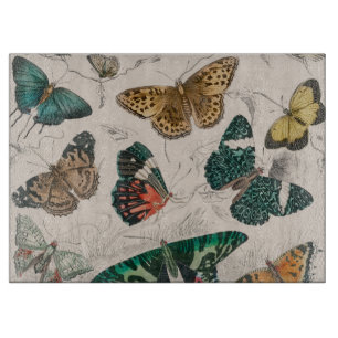 Butterfly Collection Antique Butterflies