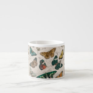Butterfly Collection Antique Butterflies Espressomugg
