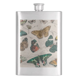 Butterfly Collection Antique Butterflies Fickplunta