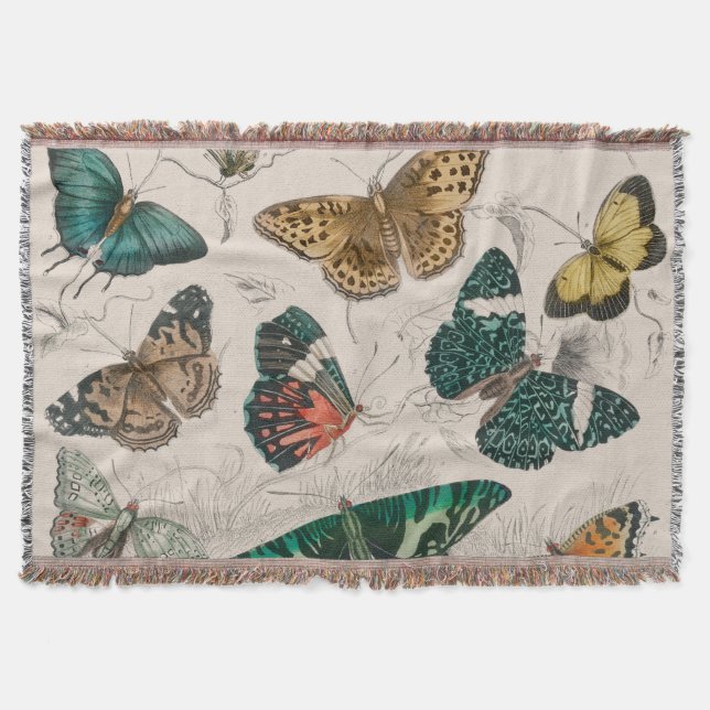 Butterfly Collection Antique Butterflies Filt (Framsidan)