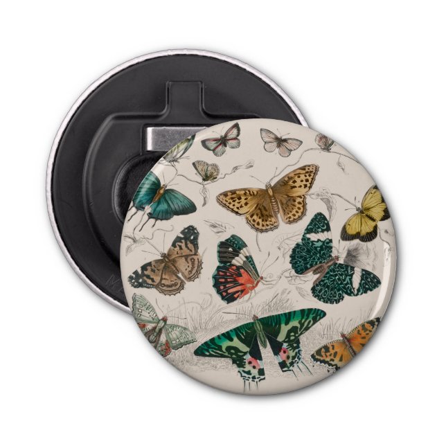 Butterfly Collection Antique Butterflies Flasköppnare (Framsidan)