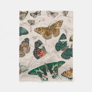 Butterfly Collection Antique Butterflies Fleecefilt