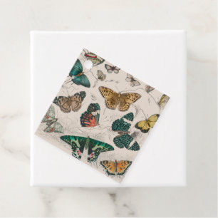 Butterfly Collection Antique Butterflies Gåvor Etiketter