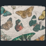 Butterfly Collection Antique Butterflies iPad Skydd<br><div class="desc">En samling fjärilar! Detta är en antika vattenfärgsmålning som påträffas i bok A Earth and Animerad Nature (1820) av Oliver Goldsmith (1730-1774)</div>