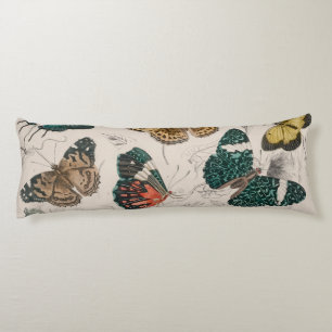 Butterfly Collection Antique Butterflies Kroppskudde