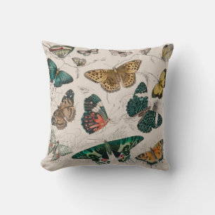 Butterfly Collection Antique Butterflies Kudde