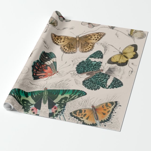 Butterfly Collection Antique Butterflies Presentpapper (Utrullad)