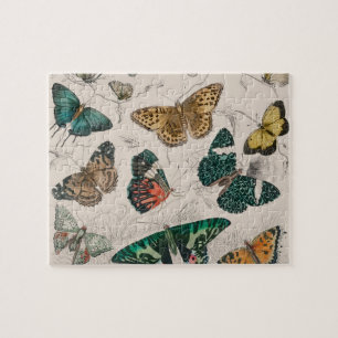 Butterfly Collection Antique Butterflies Pussel