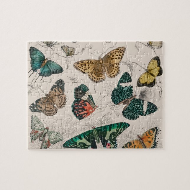 Butterfly Collection Antique Butterflies Pussel (Horisontell)