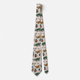 Butterfly Collection Antique Butterflies Slips