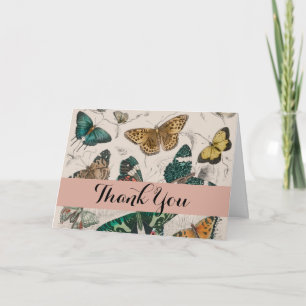 Butterfly Collection Antique Butterflies Tack Kort