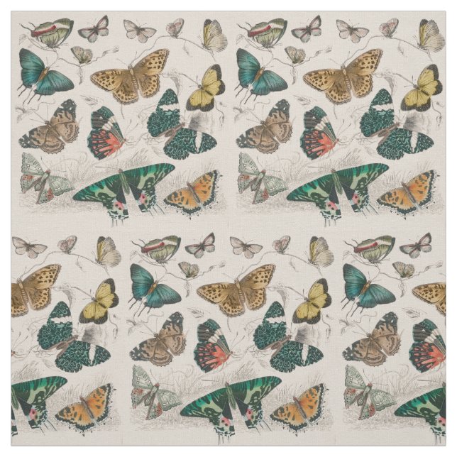 Butterfly Collection Antique Butterflies Tyg (Provkarta)