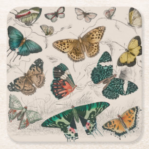 Butterfly Collection Antique Butterflies Underlägg Papper Kvadrat