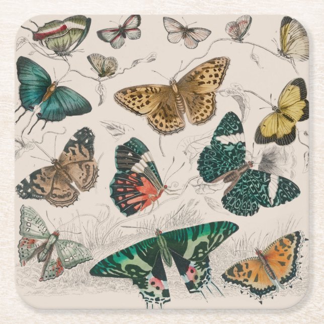 Butterfly Collection Antique Butterflies Underlägg Papper Kvadrat (Framsidan)