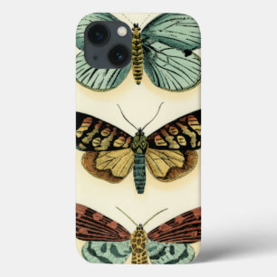 Butterfly Collection by Chariklia Zarris