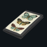 Butterfly Collection by Chariklia Zarris<br><div class="desc">Den här målningen av Chariklia Zarris är en dröm om pidopterister! Biet är häpnadsväckande detaljerat på en fjärilssamling och är häpnadsväckande i sin använda färg. Hämta ditt exemplar idag!</div>