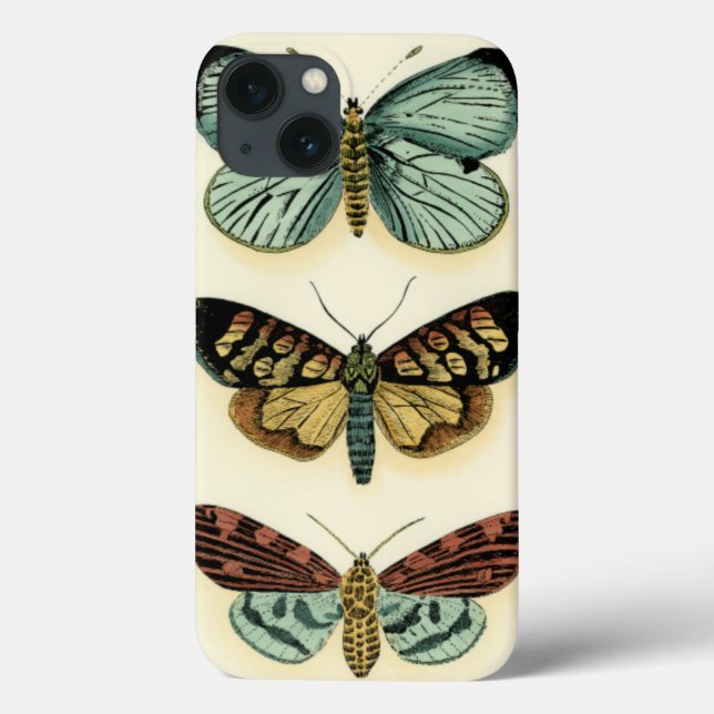 Butterfly Collection by Chariklia Zarris (Baksida)