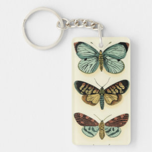Butterfly Collection by Chariklia Zarris