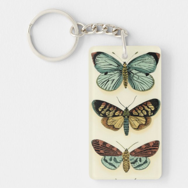 Butterfly Collection by Chariklia Zarris (Framsidan)
