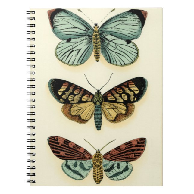 Butterfly Collection by Chariklia Zarris Anteckningsbok Med Spiral (Framsidan)