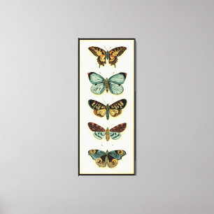 Butterfly Collection by Chariklia Zarris Canvastryck