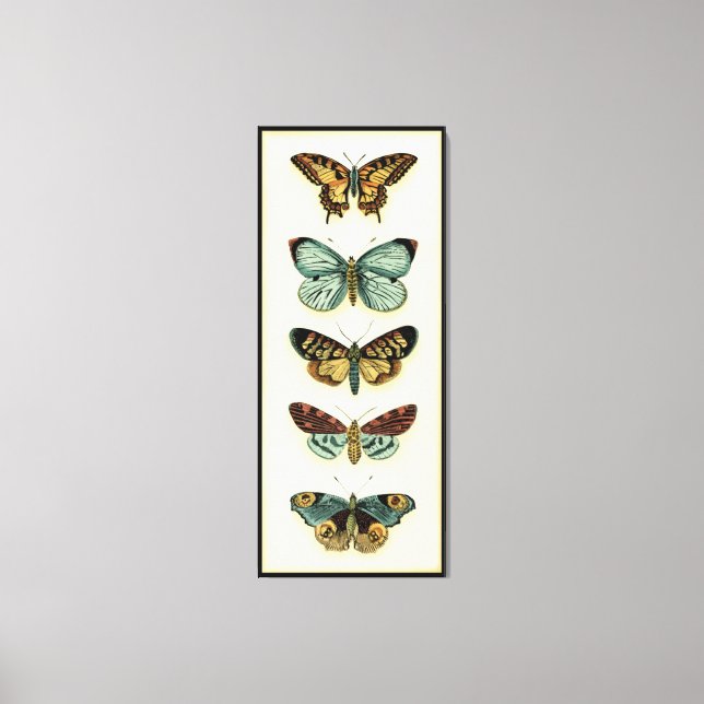 Butterfly Collection by Chariklia Zarris Canvastryck (Framsida)