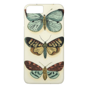 Butterfly Collection by Chariklia Zarris