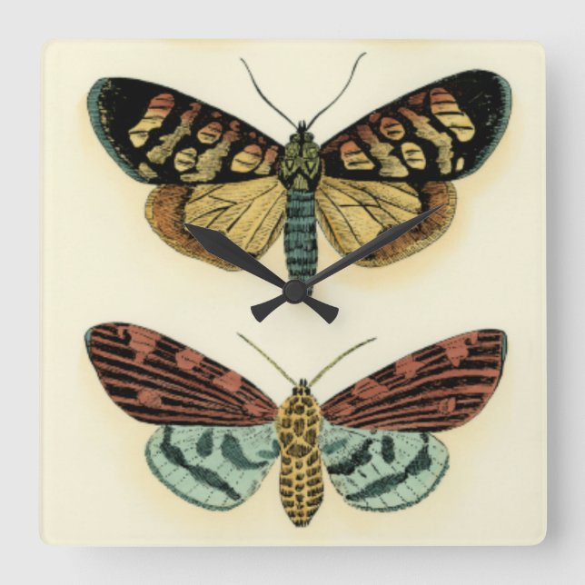 Butterfly Collection by Chariklia Zarris Fyrkantig Klocka (Framsida)