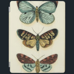 Butterfly Collection by Chariklia Zarris iPad Skydd<br><div class="desc">Den här målningen av Chariklia Zarris är en dröm om pidopterister! Biet är häpnadsväckande detaljerat på en fjärilssamling och är häpnadsväckande i sin använda färg. Hämta ditt exemplar idag!</div>