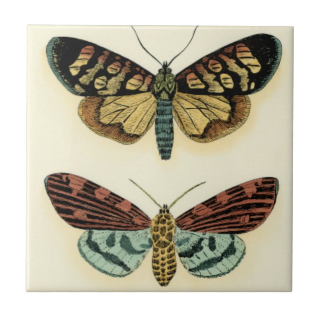 Butterfly Collection by Chariklia Zarris Kakelplatta (Framsidan)