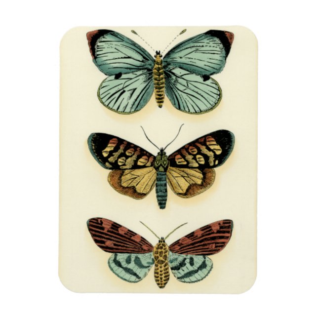 Butterfly Collection by Chariklia Zarris Magnet (Vertikal)